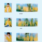 SEVENTEEN - 11TH MINI ALBUM [SEVENTEENTH HEAVEN] (CARAT Ver.)