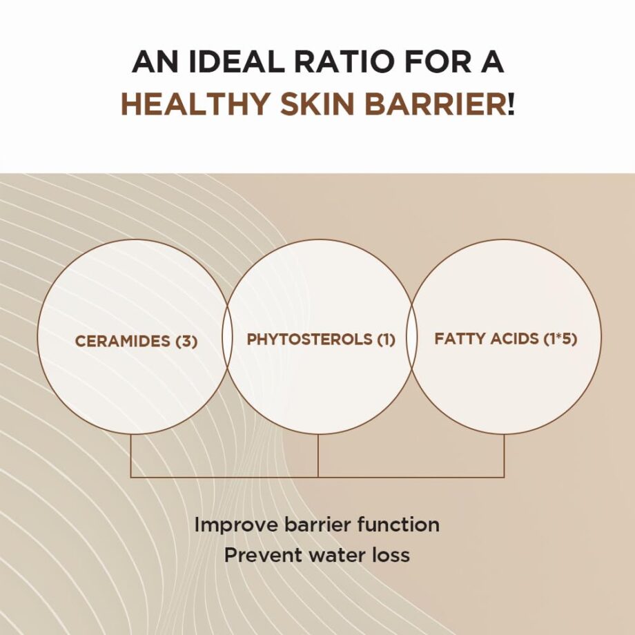 [SKIN1004] Madagascar Centella Probio-Cica Intensive Ampoule 50ml