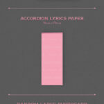 BLACKPINK - 2ND ALBUM [BORN PINK] (BOX SET Ver.)