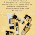 [COSRX] Advanced Snail 92 All in one cream 100ml