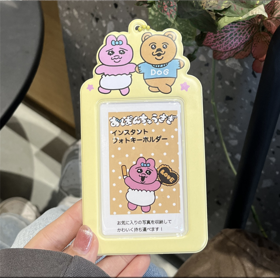 ins Card Holders (4types)