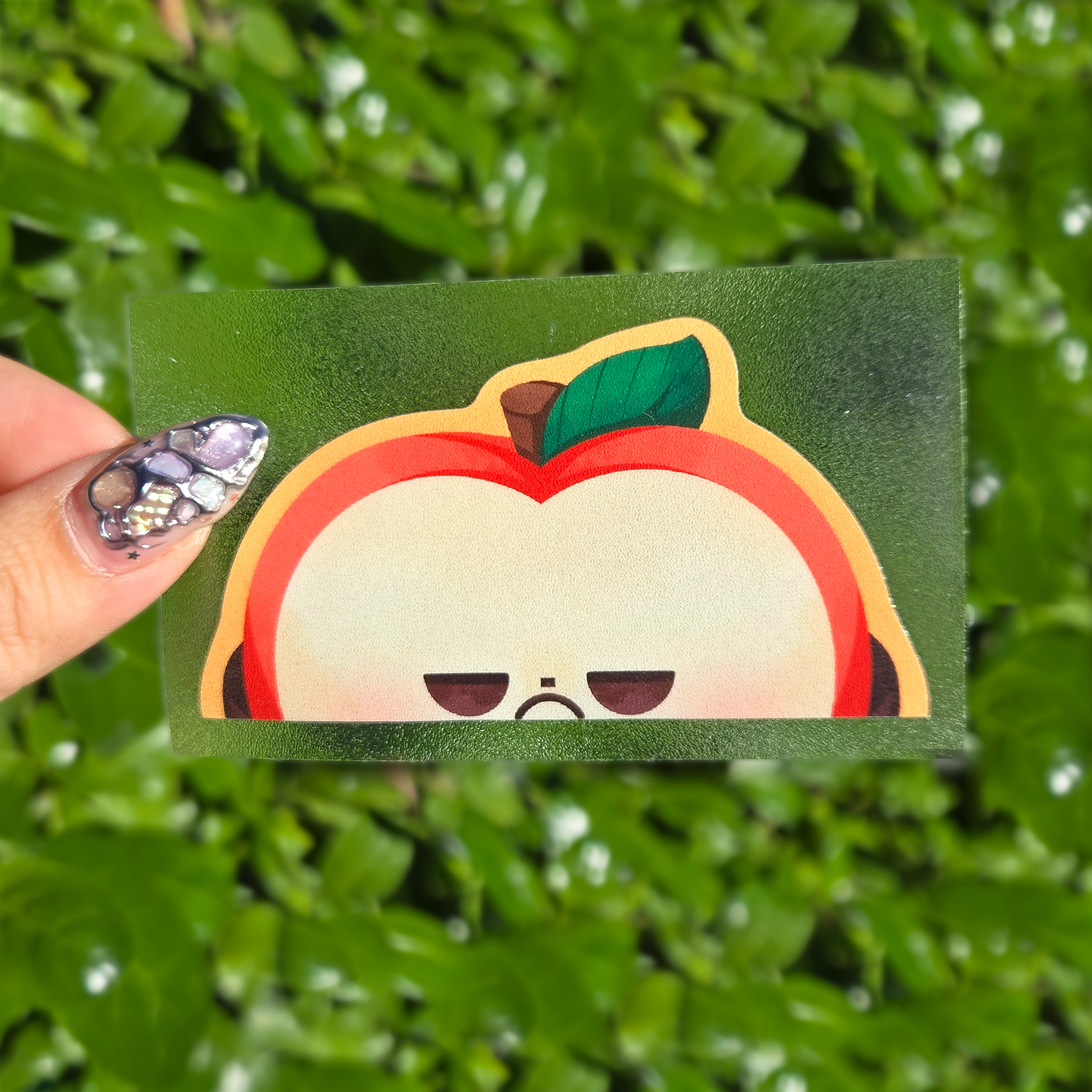 Peeker design held up with a clear transfer tape at the centre of the image by fingers. Green shrubbery background