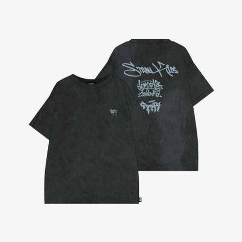 Stray Kids [dominATE : celebrATE] Merch (T-SHIRT)
